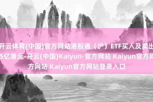 开云体育(中国)官方网站港股通（沪）ETF买入及卖出成交额23.85亿港元-开云(中国)Kaiyun·官方网站 Kaiyun官方网站登录入口