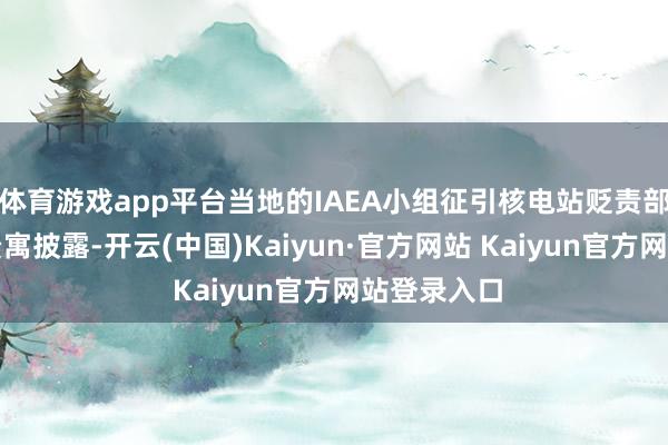 体育游戏app平台当地的IAEA小组征引核电站贬责部门提供的贵寓披露-开云(中国)Kaiyun·官方网站 Kaiyun官方网站登录入口